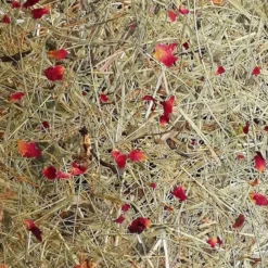 ALMUT 2610 lámpara de mesa, heno con rosas rojas