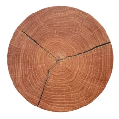 Aplique de pared LED Havana M, madera de frente/metal, Ø 34 cm, IP44