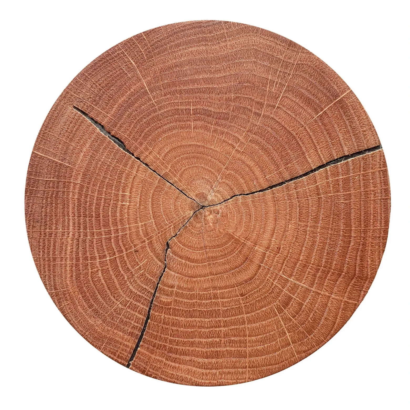 Aplique de pared LED Havana M, madera de frente/metal, Ø 34 cm, IP44