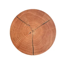 Aplique de pared LED Havana S, madera de frente/metal, Ø 19 cm