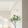 Aplique de pared Mado, beige, Ø 8 cm, acero/vidrio, 1 luz, G9