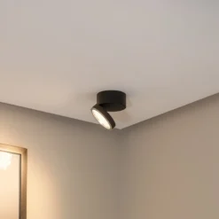 Bega LED downlight de techo 51312.5 negro metal DALI orientable
