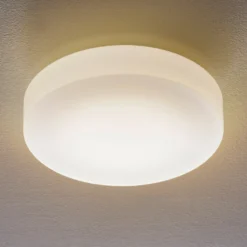 Bega 50651 Plafón LED cristal opal 3.000K Ø34cm