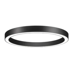 BRUMBERG Anillo circular Biro Ø 60cm, 40 W, encendido/apagado, negro, 830
