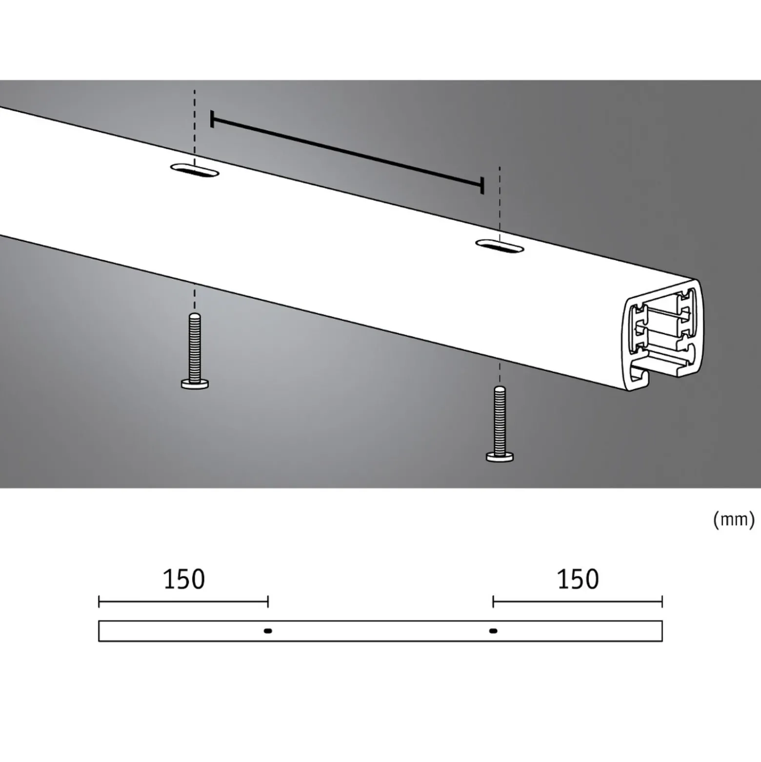 Carril Paulmann URail, cromo mate, longitud 50 cm, aluminio