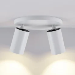 Downlight CAN TILT, blanco, Ø 20 cm, 2 luces, metal, GU10