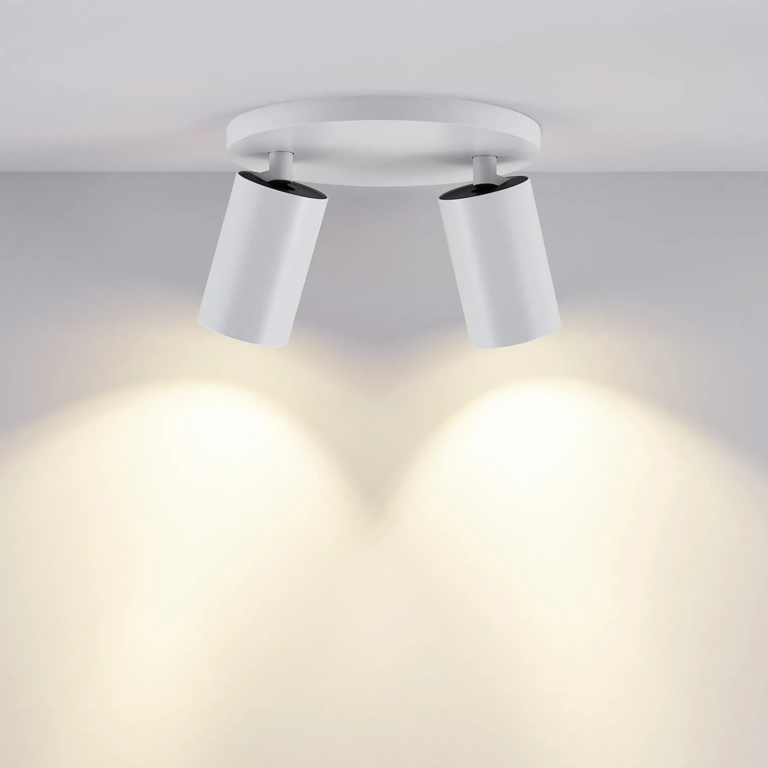 Downlight CAN TILT, blanco, Ø 20 cm, 2 luces, metal, GU10
