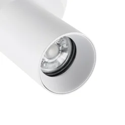Downlight CAN TILT, blanco, Ø 8 cm, 1 luz, metal, GU10