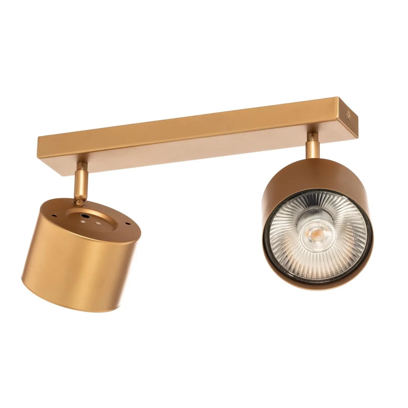 Downlight Chloe orientable 2 luces, dorado