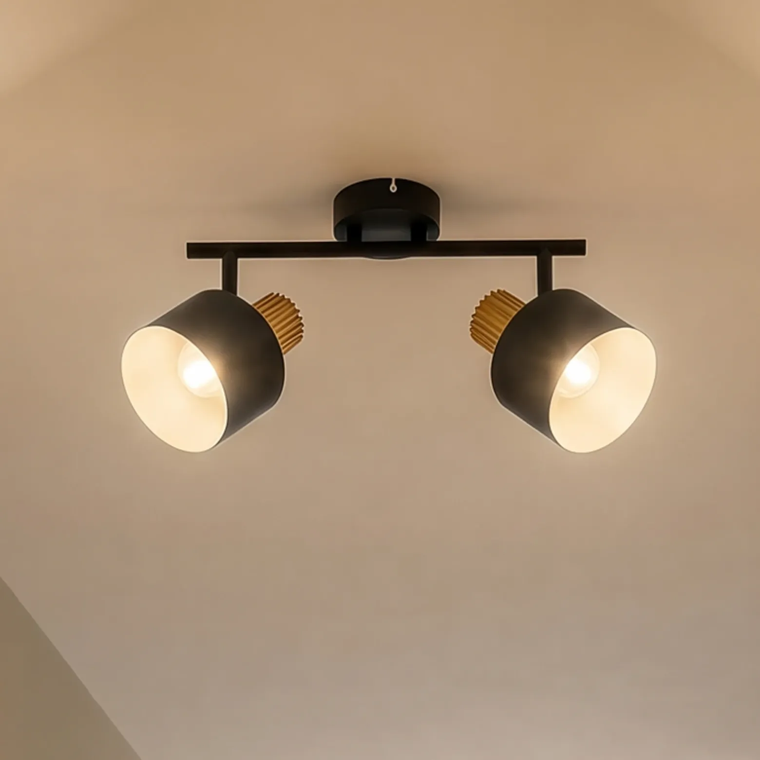 Downlight de techo Lindby Lenja, 2 luces, negro, E14, metal