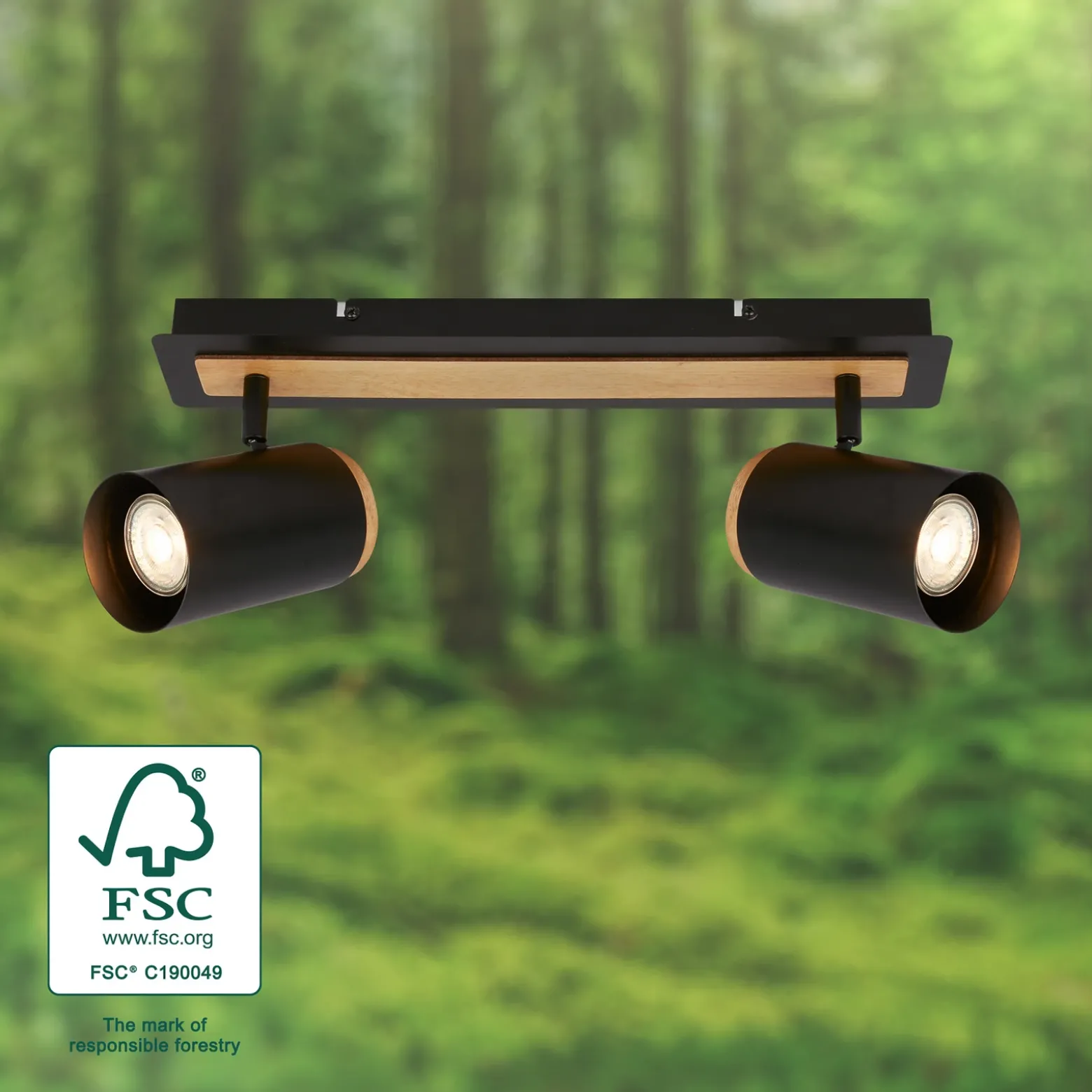 Downlight Duta, longitud 40 cm, negro/color madera, 2 luces.