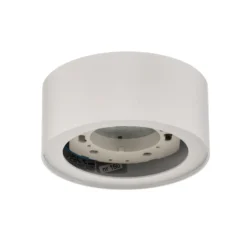 Downlight Flea de acero, blanco