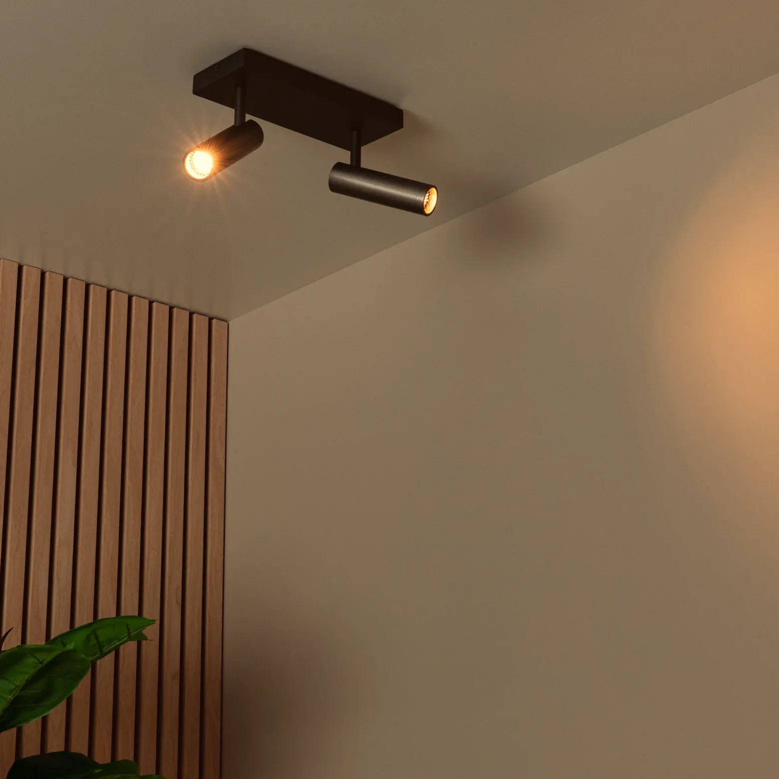 Downlight Grado, longitud 25 cm, gris, metal, 2 luces.