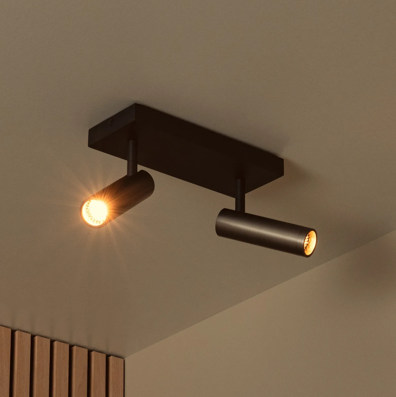 Downlight Grado, longitud 25 cm, gris, metal, 2 luces.