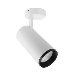 Downlight LED Lucea, orientable, 30 W blanco