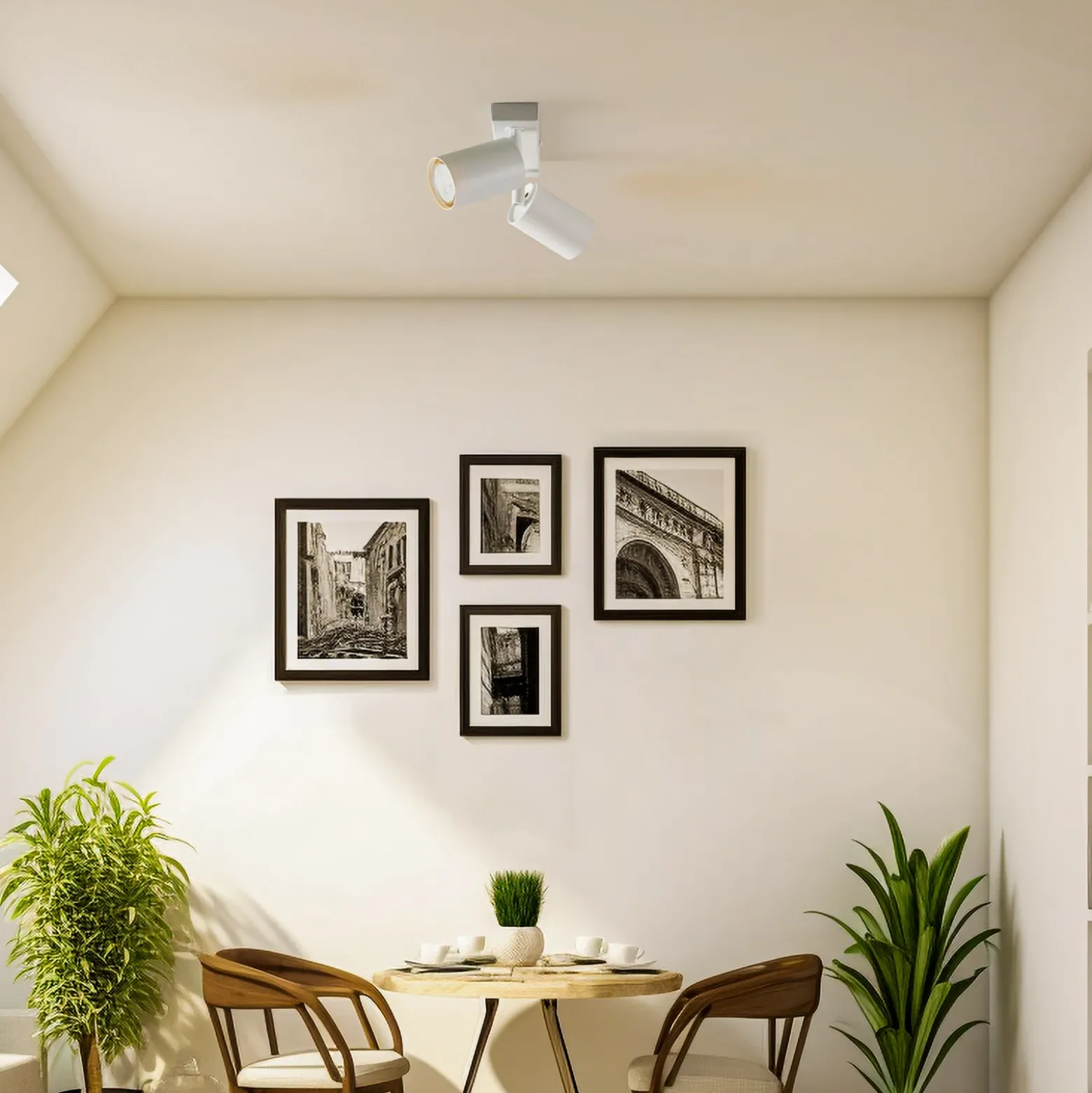 Downlight Zoom, 2 luces, blanco