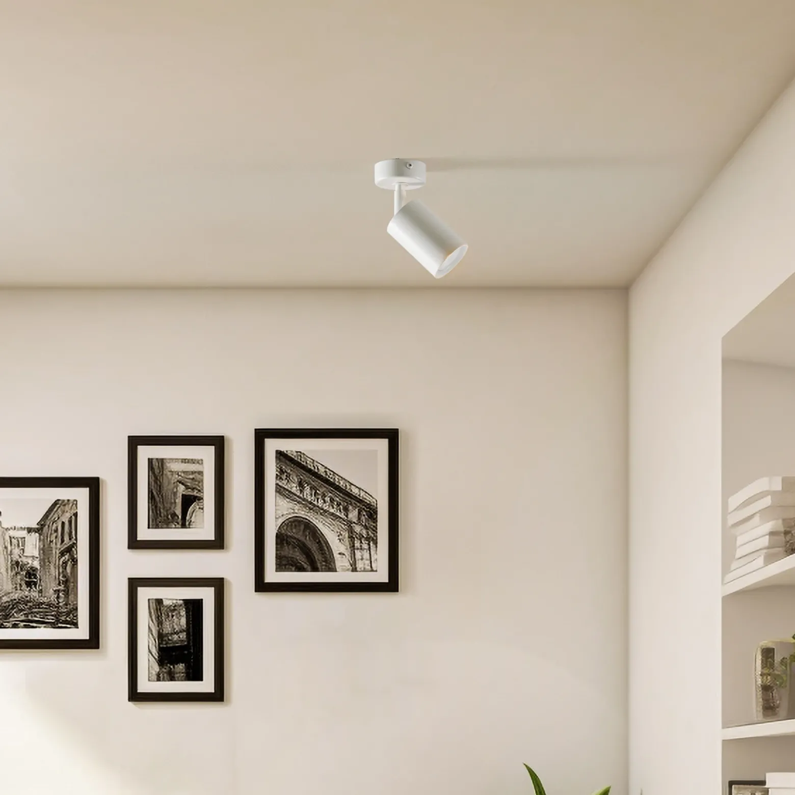 Downlight Zoom, 1 luz, blanco