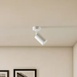 Downlight Zoom, 1 luz, blanco
