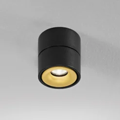 Egger DLS downlight Clippo, atenuable, negro/oro