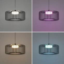 EGLO connect lámpara colgante LED Ginestrone-Z, 1 luz, negro