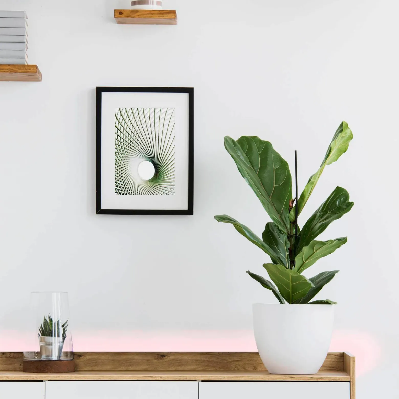 EGLO connect Stripe-C tira LED, RGBW 300 cm