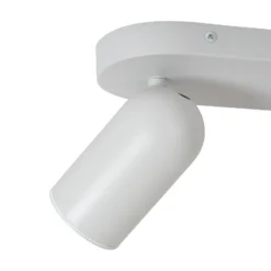 Foco de techo Punch, 2 luces, blanco