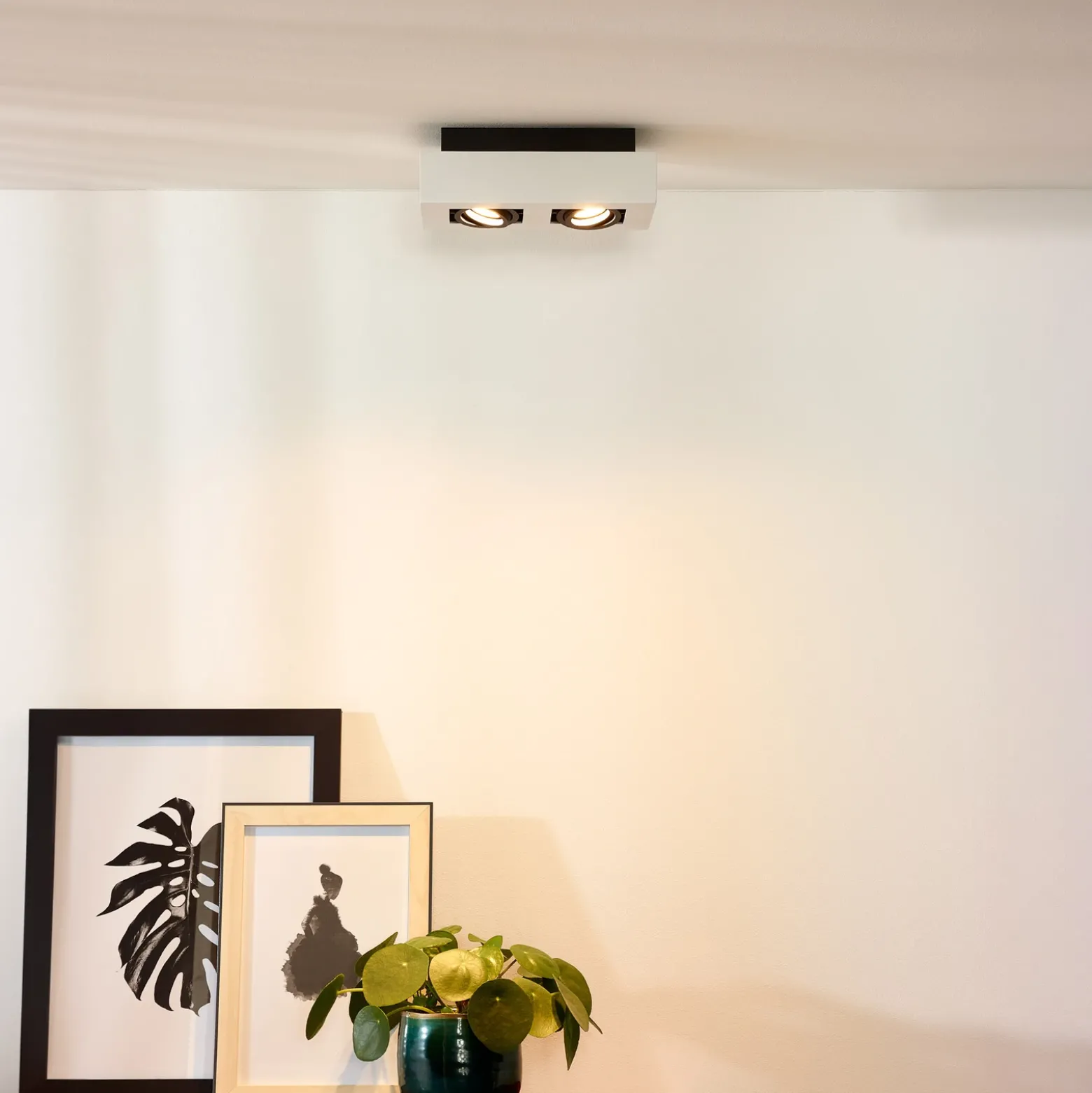 Foco de techo Xirax, 2 luces, blanco