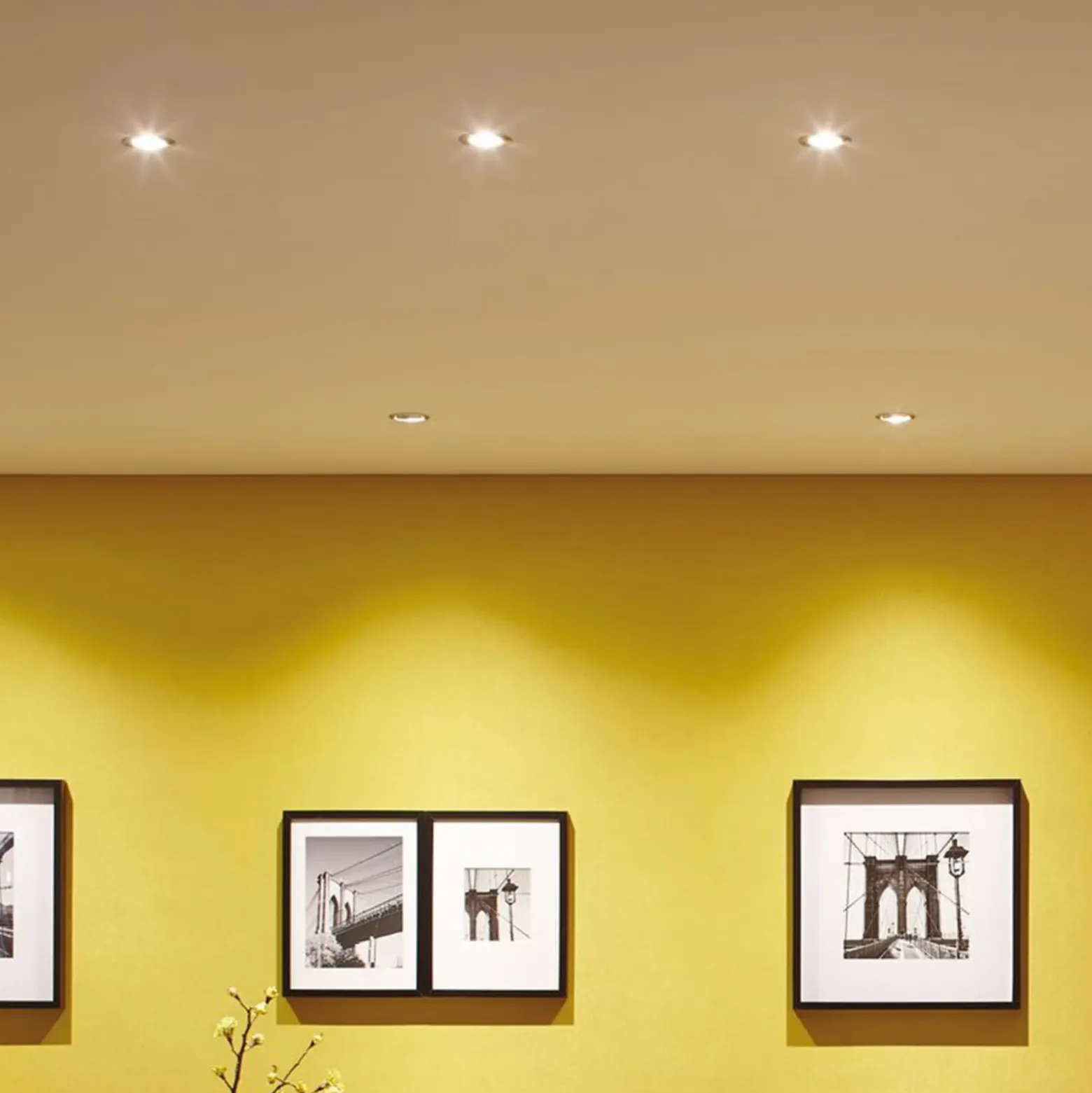 Foco LED Paulmann Nova Coin, juego de 3 unidades, de hierro, orientable, 2700 K