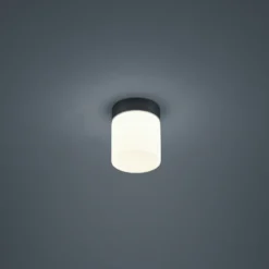 Helestra Keto plafón LED, cilindro, negro