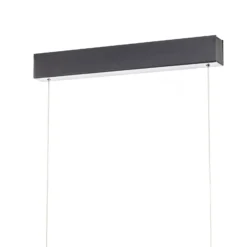 Helestra Nex lámpara colgante LED negro mate