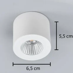 Helestra Oso foco de techo LED, redondo, blanco