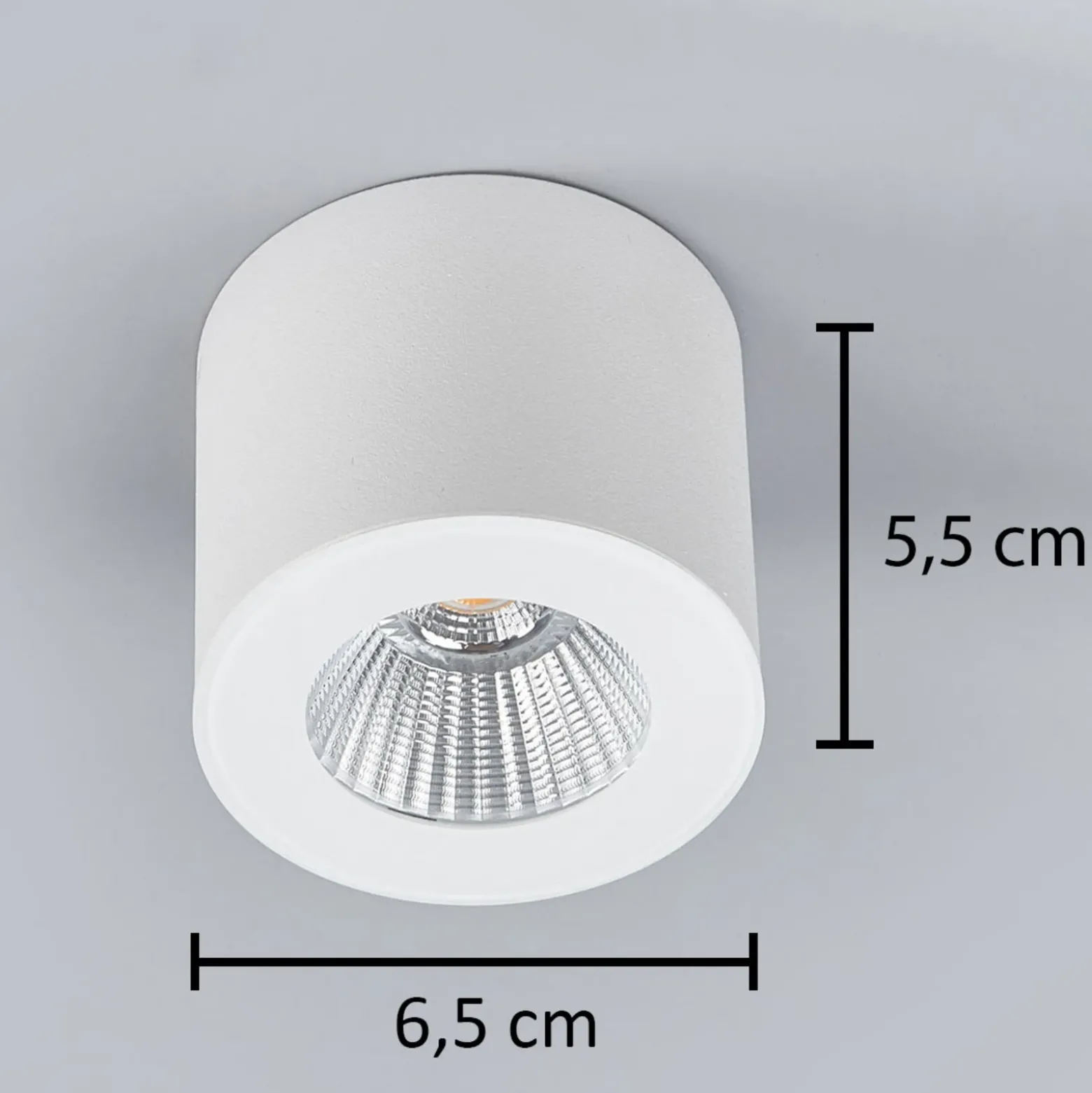 Helestra Oso foco de techo LED, redondo, blanco