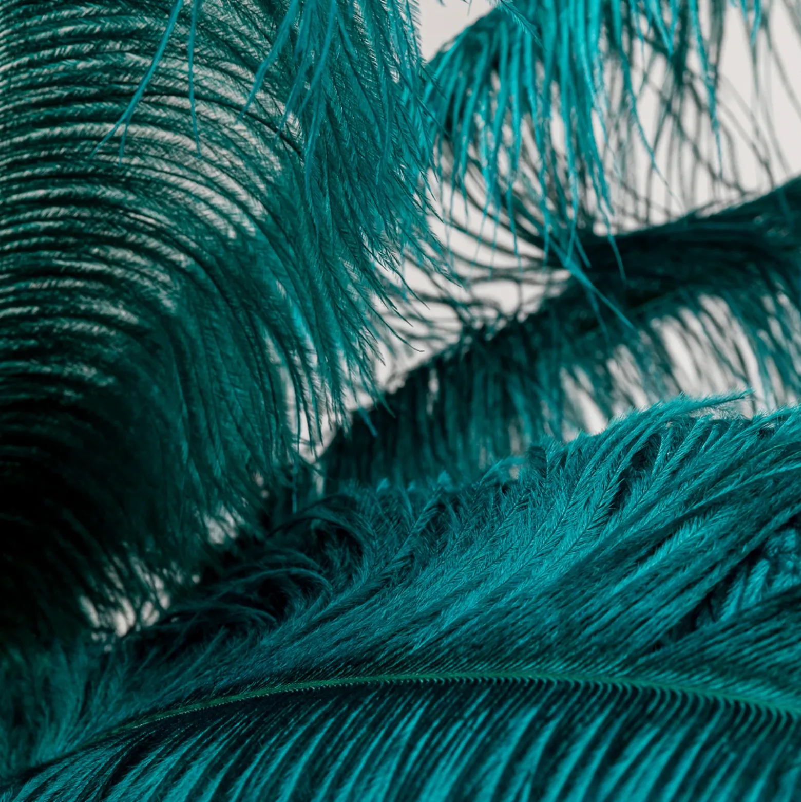 KARE Feather Palm lámpara de pie con plumas, verde