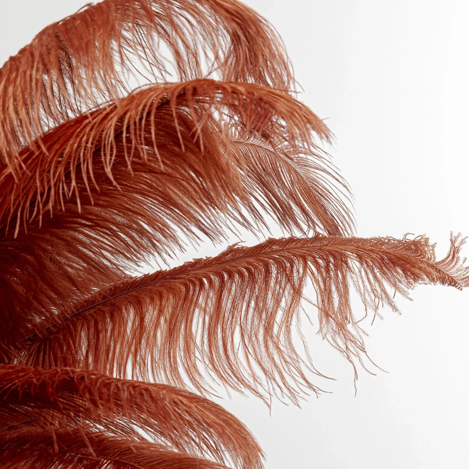KARE Feather Palm lámpara de pie plumas rojo óxido