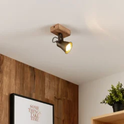 Lindby Grandesa foco de techo, 1 luz