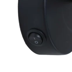 Lindby Iolyn lámpara de pared con interruptor