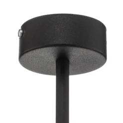 Lámpara colgante Dione, 2 luces, negro
