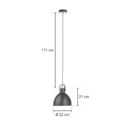 Lámpara colgante Eagle, negra, Ø 22 cm, metal