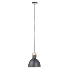 Lámpara colgante Eagle, negra, Ø 22 cm, metal