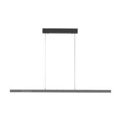 Lámpara colgante LED Adriana Comfort Lift de Paul Neuhaus, gris, CCT