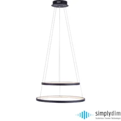 Lámpara colgante LED Circle, antracita, versión de 2 luces