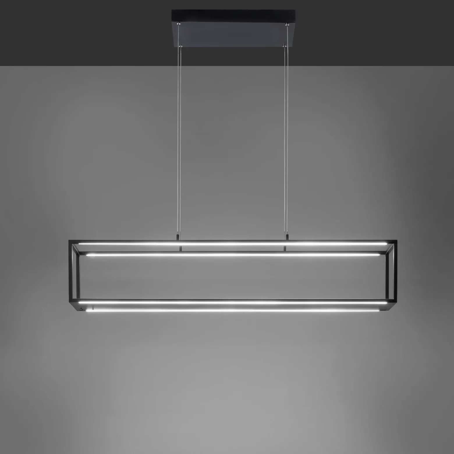 Lámpara colgante LED Conni de Paul Neuhaus, negra, 105 cm