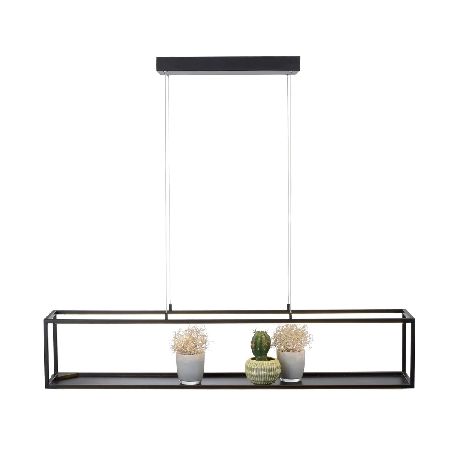 Lámpara colgante LED Conni de Paul Neuhaus, negra, 105 cm