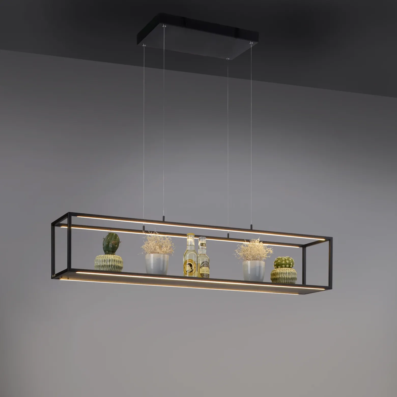 Lámpara colgante LED Conni de Paul Neuhaus, negra, 105 cm
