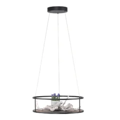 Lámpara colgante LED Conni de Paul Neuhaus, negra, Ø 50 cm