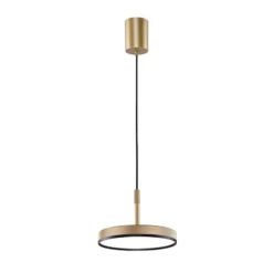 Lámpara colgante LED Don, dorada, Ø 20 cm, metal