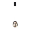 Lámpara colgante LED Melanie, Ø 16 cm, gris humo/negro, cristal