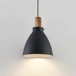 Lámpara colgante Lindby Trebale, E27, Ø 28 cm, negro, metal