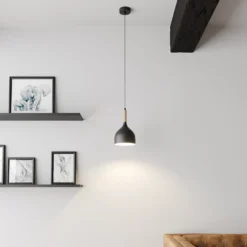 Lámpara colgante Noak, negro/madera natural, Ø 17 cm