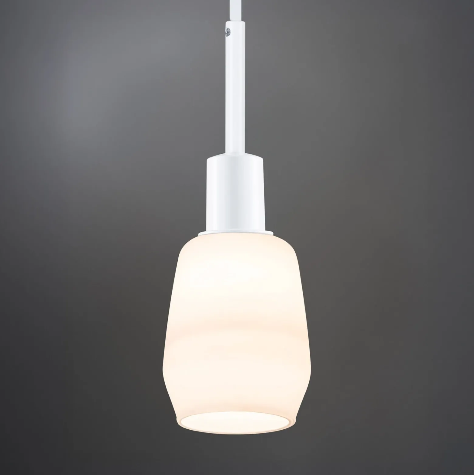 Lámpara colgante Paulmann URail DecoSystems, blanco señal, metal